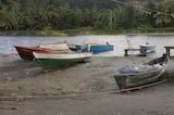 Fishing Boats in Layou