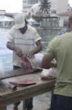 Fisherman cutting Fish