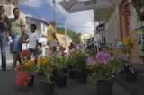 street fair in Le Marin